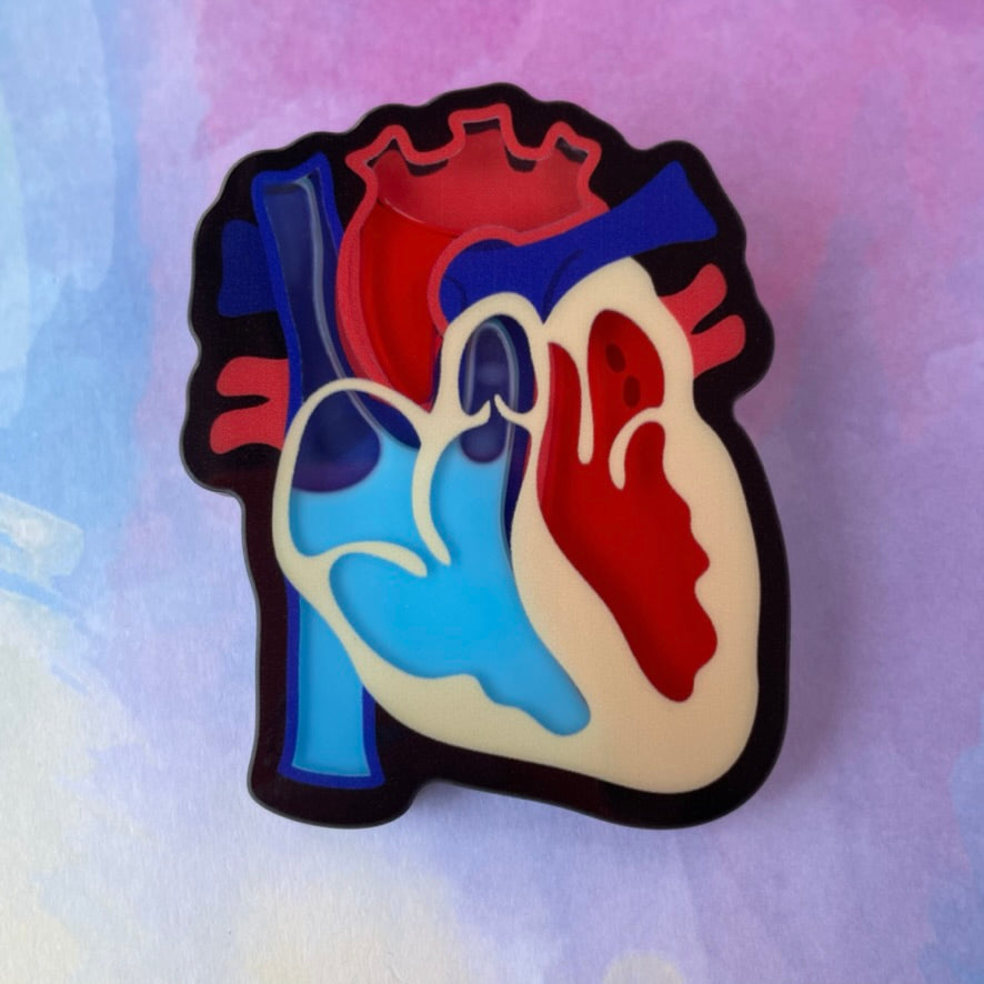 Anatomical Heart - Liquid Filled Swappable Badge Reel Design Top - Rad Girl Creations - Medical Badge Reel