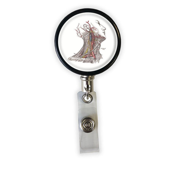 Gray's Anatomy Fig. 520 Badge Reel