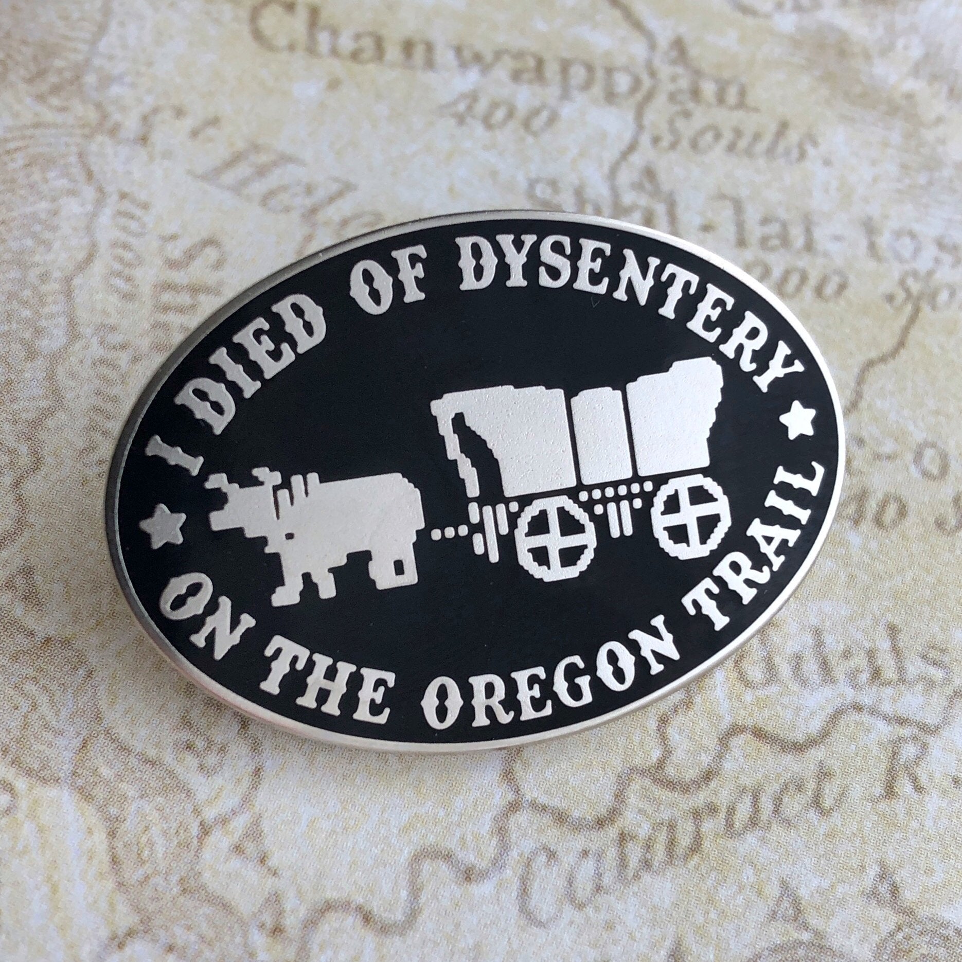 I Died of Dysentery Pin - Rad Girl Creations