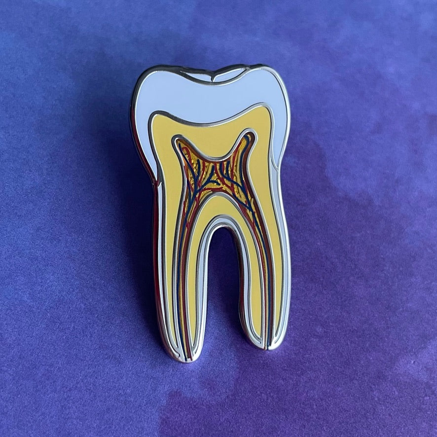 Tooth Anatomy Pin