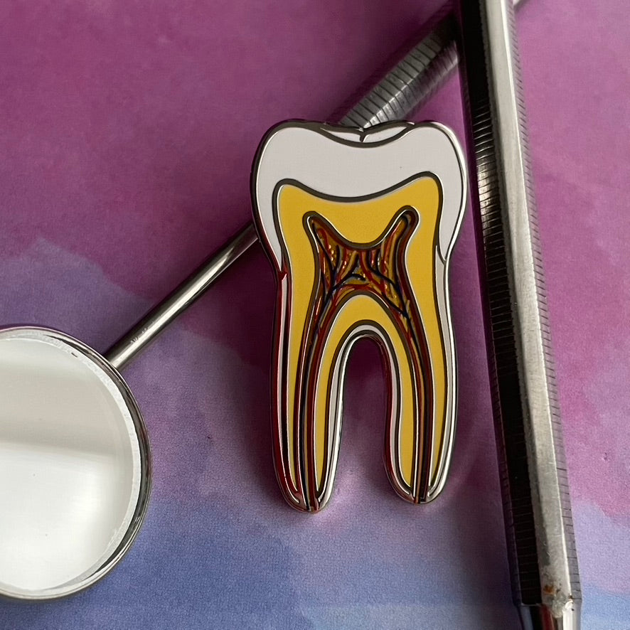 Tooth Anatomy Pin