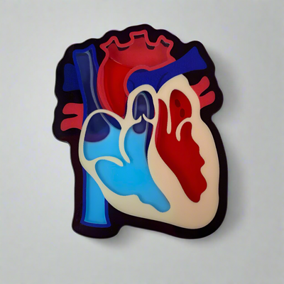 Anatomical Heart - Liquid Filled Swappable Badge Design TOP