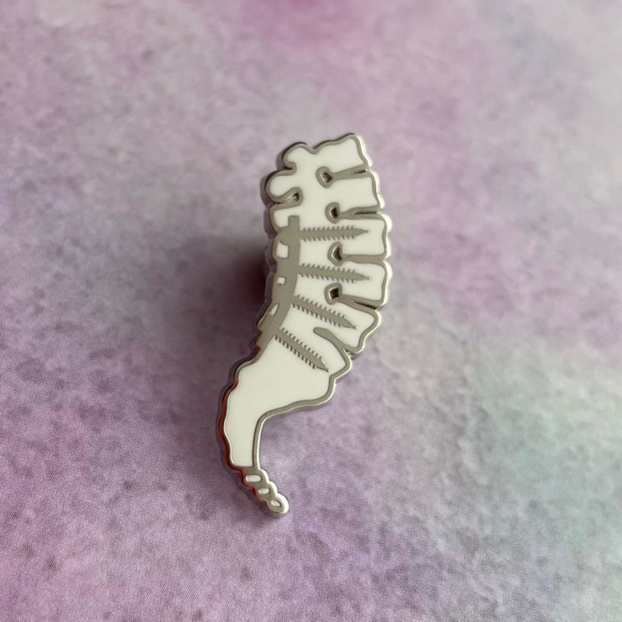 Spinal Hardware Pin