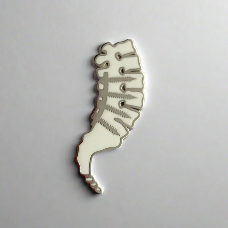 Spinal Hardware Pin