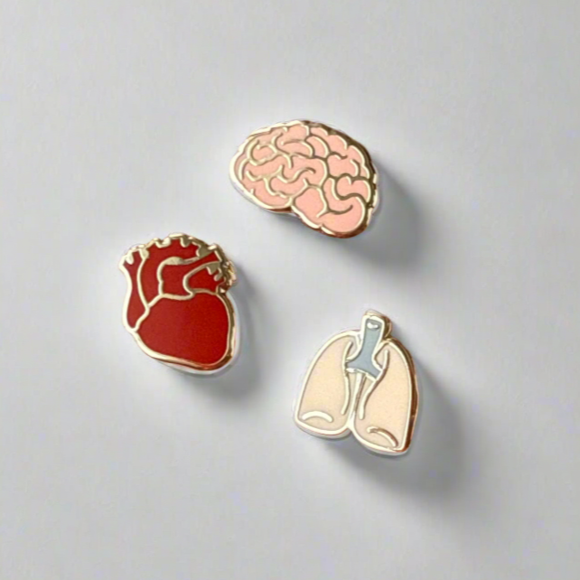 Mini Organs - Set of 3 Pins