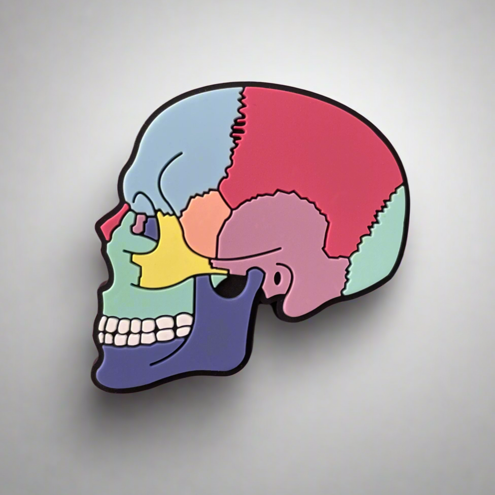 Textbook Anatomy Skull - PVC Swappable Badge Design TOP