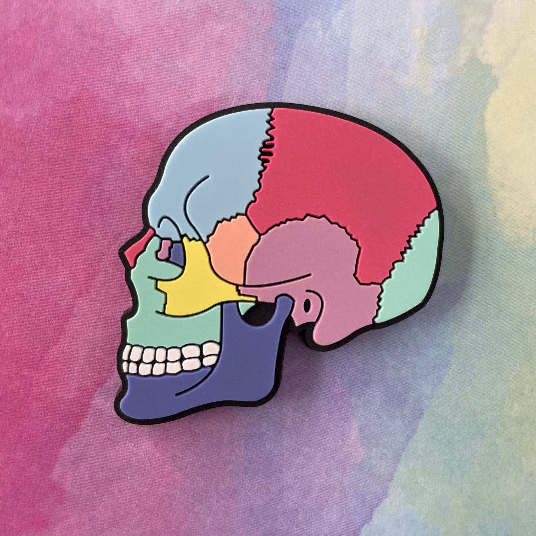 Textbook Anatomy Skull Badge Reel - Rad Girl Creations
