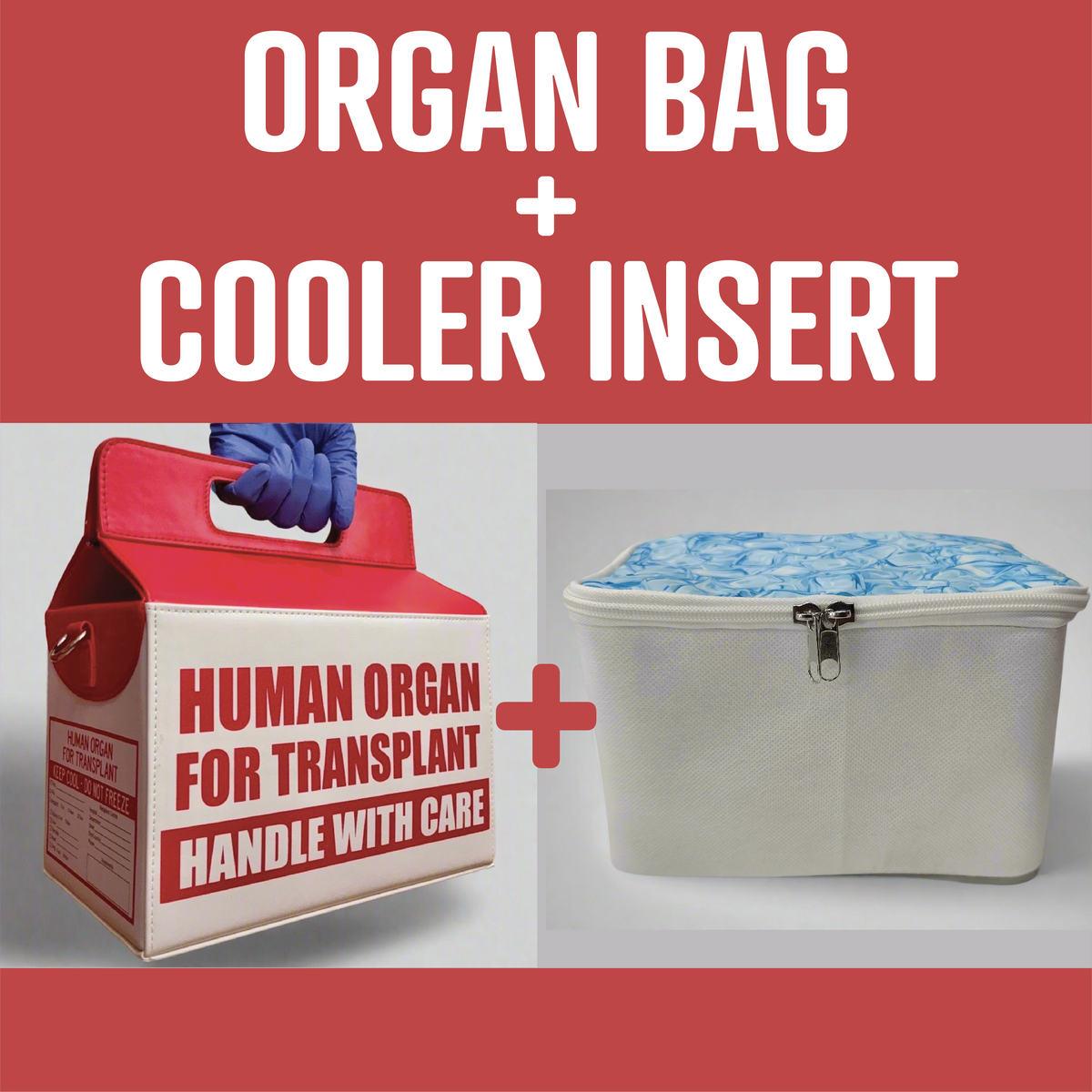 PREORDER! - Human Organ for Transplant Bag - SHIPPING IN NOV/DEC