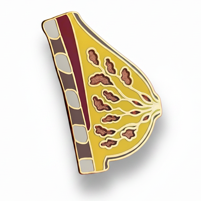 Breast Anatomy Pin