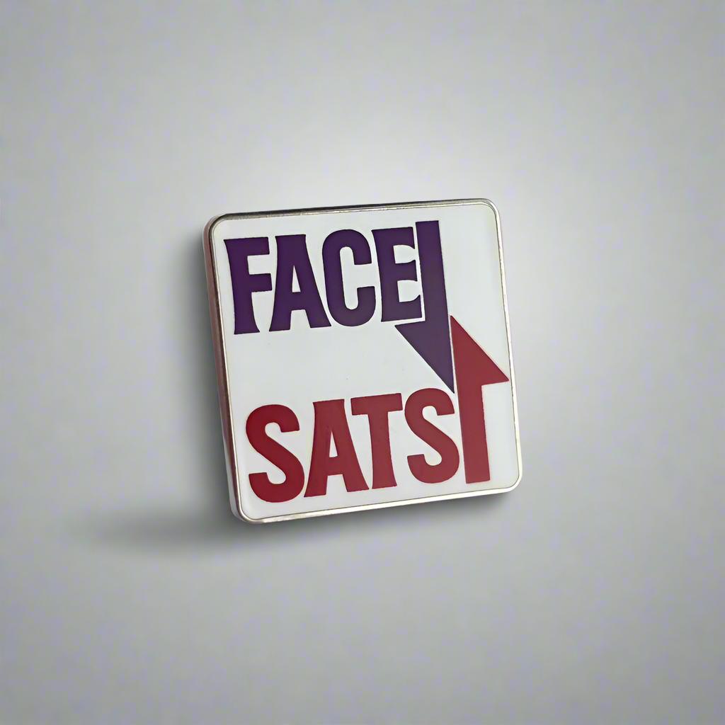Face Down, Sats Up Pin