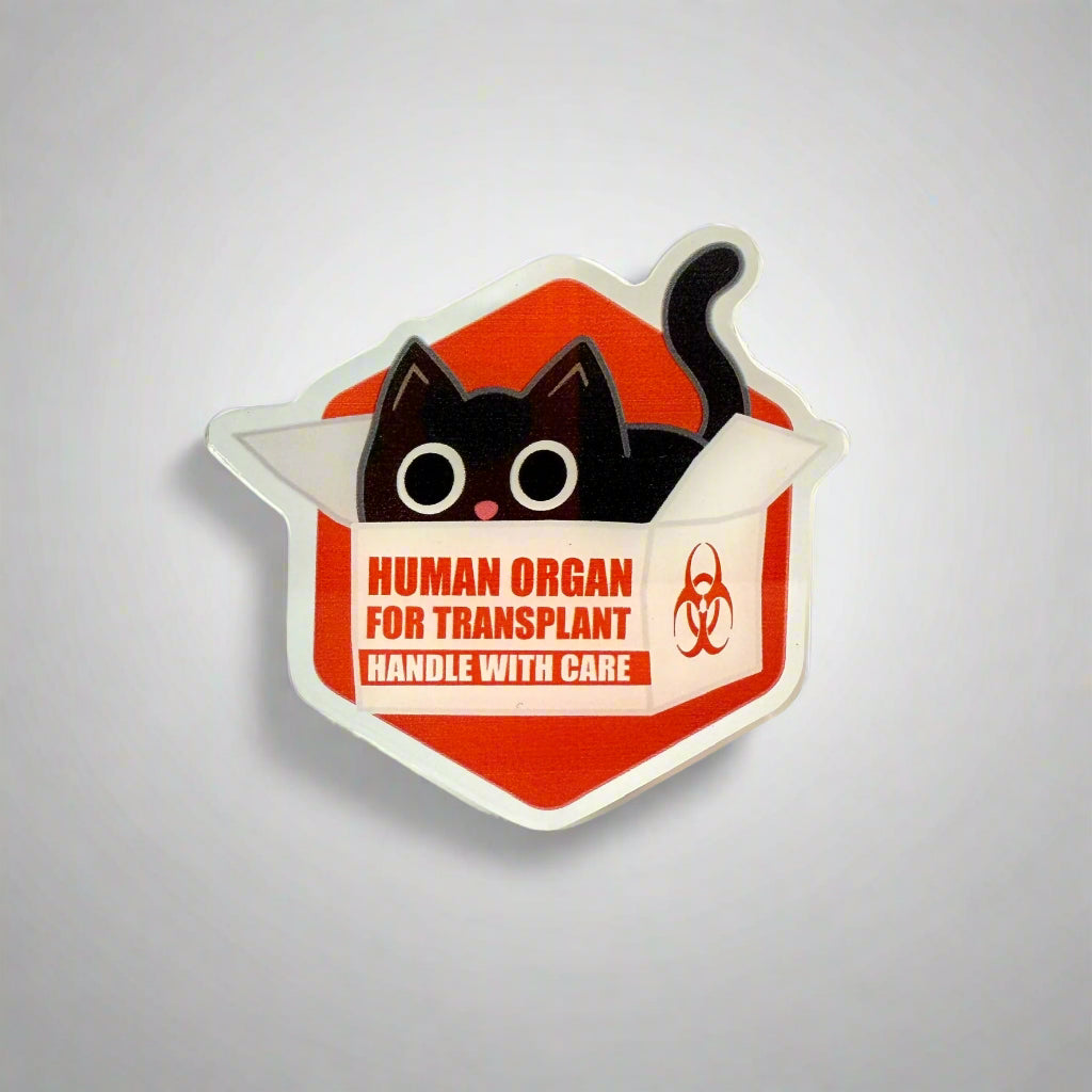 If It Fits I Sits Kitty - Acrylic Swappable Badge Design TOP