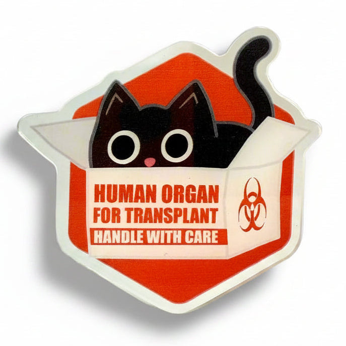 If It Fits I Sits Kitty - Acrylic Swappable Badge Design TOP