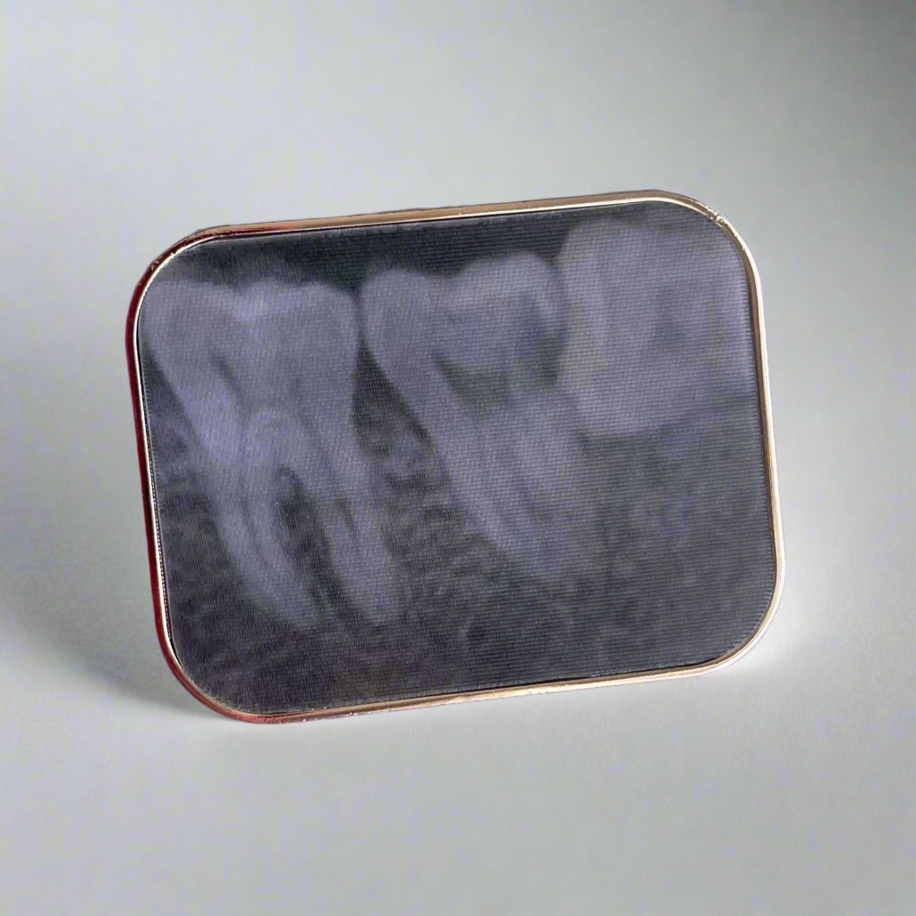 Dental Size 2 X-Ray Lenticular Pin