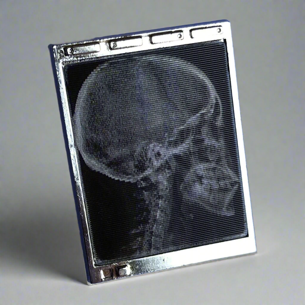 Lenticular Radiology Light Box Pin