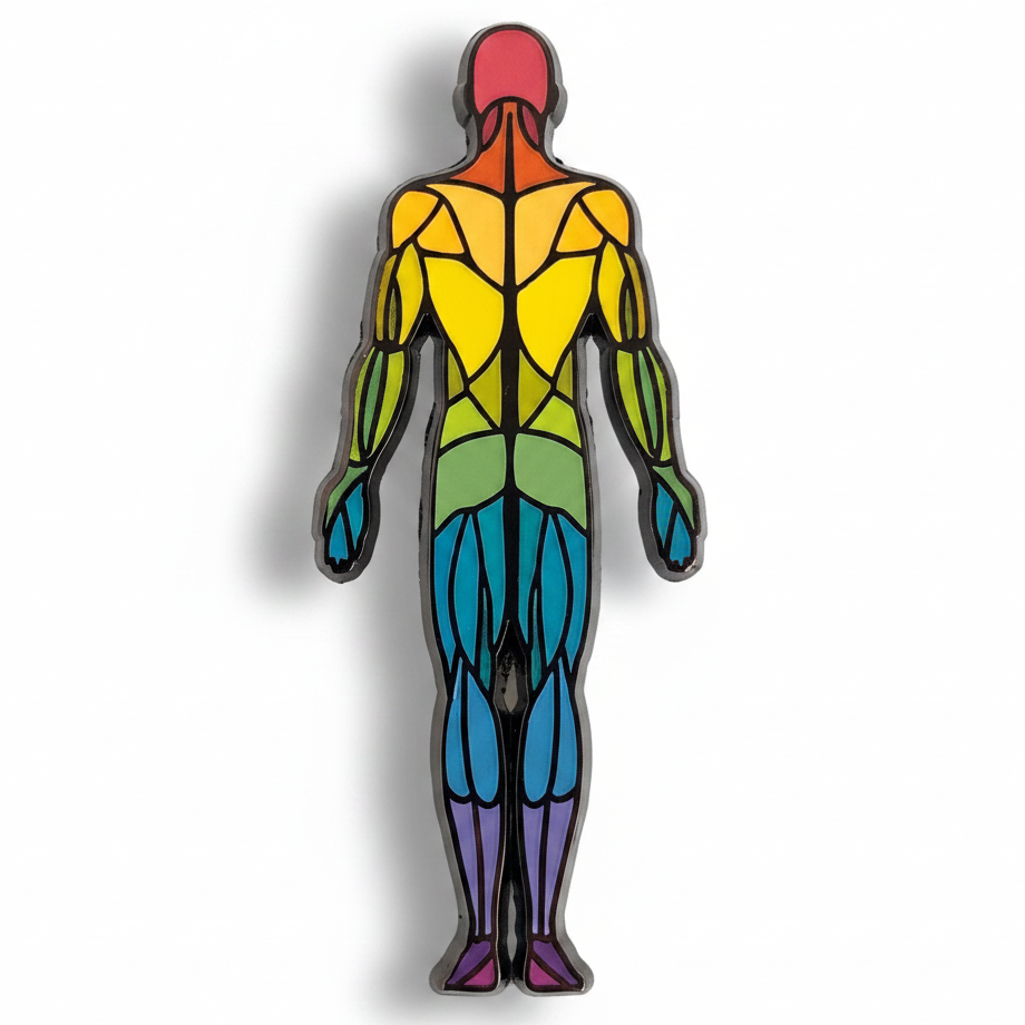 Muscular System Pin