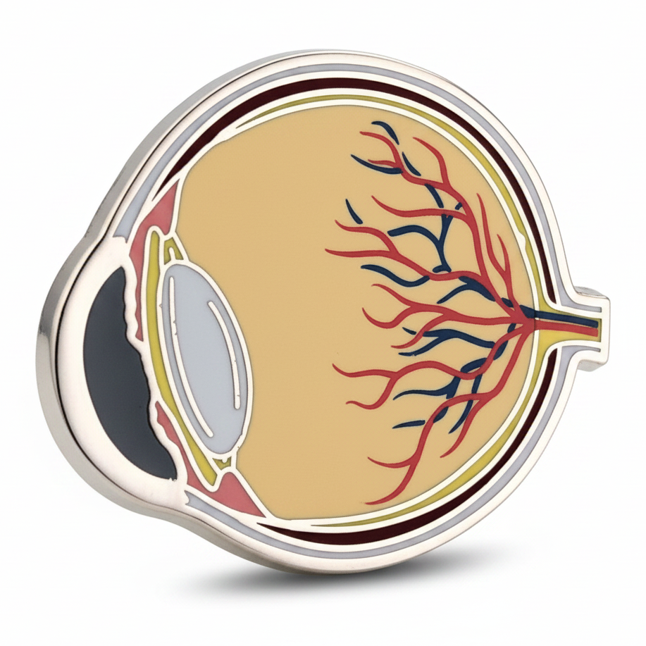 Eye Anatomy Pin