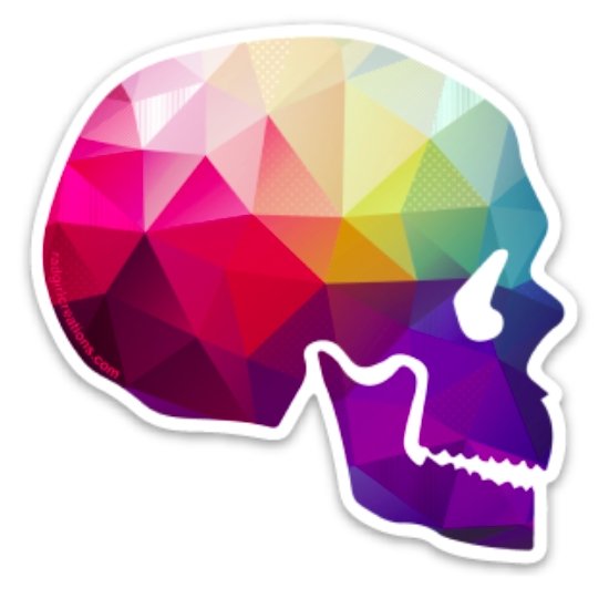 Geometricolor Skull Decal - Rad Girl Creations