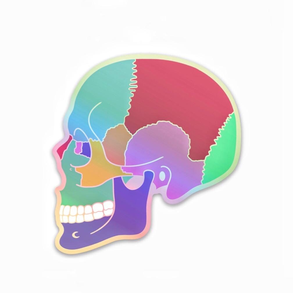 Holographic Textbook Anatomy Skull Decal - Rad Girl Creations