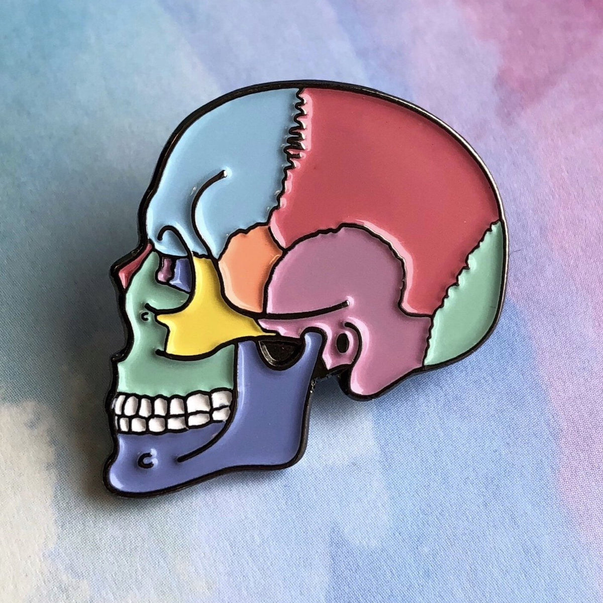 Textbook Anatomy Skull Pin - Rad Girl Creations